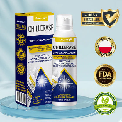 🔥Foulme® ChillErase Spray odnawiający skórę❄️